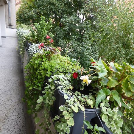 Apartment Deligradska Belgrad Zewnętrze zdjęcie