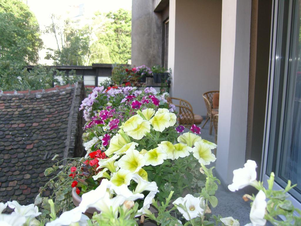 Apartment Deligradska Belgrad Zewnętrze zdjęcie