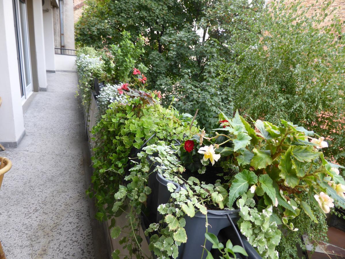 Apartment Deligradska Belgrad Zewnętrze zdjęcie